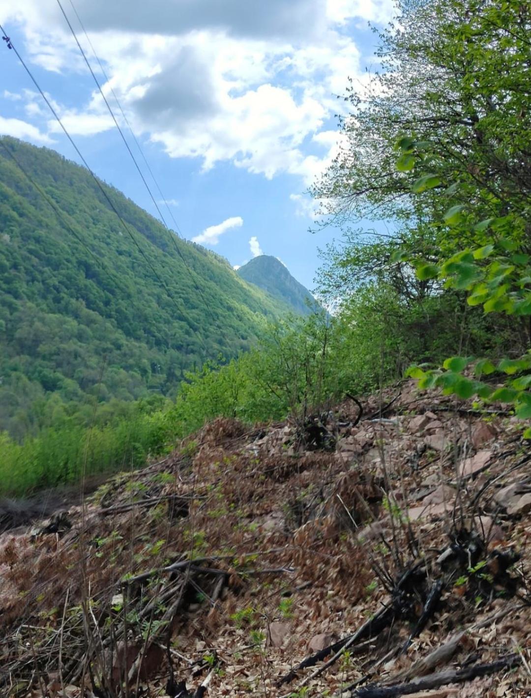 Ca' Di Ruchitt Leilighet Cuasso Al Monte Eksteriør bilde